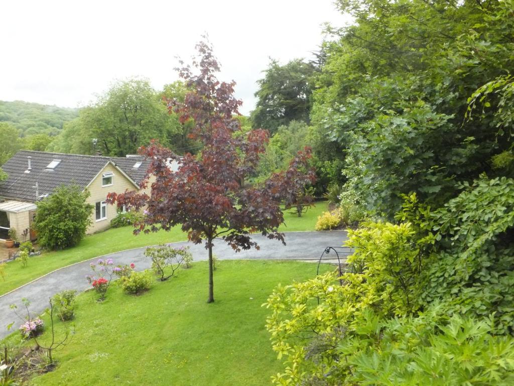 Bed and Breakfast Shrubdown Freshford Zewnętrze zdjęcie